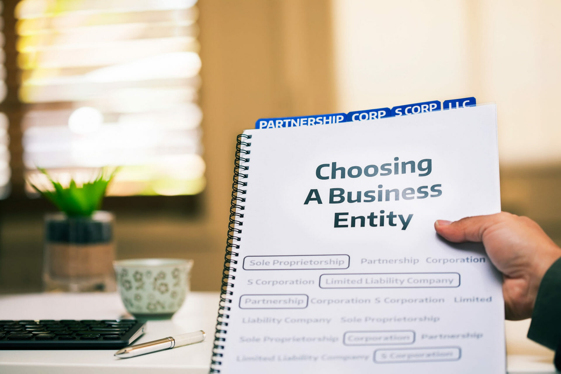 A document on different types of business formations being read by a small business owner while sitting in office desk. business west pam beach